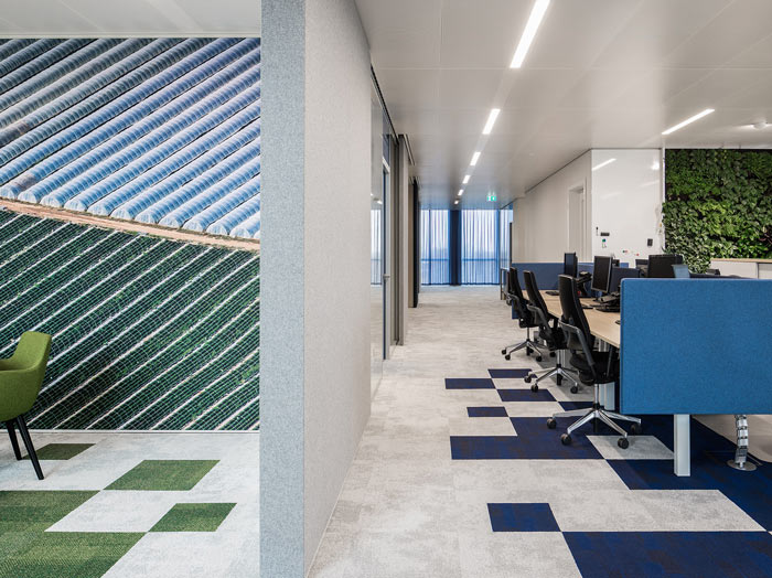 綠色食品公司辦公室吸音墻裝修設(shè)計(jì)效果圖