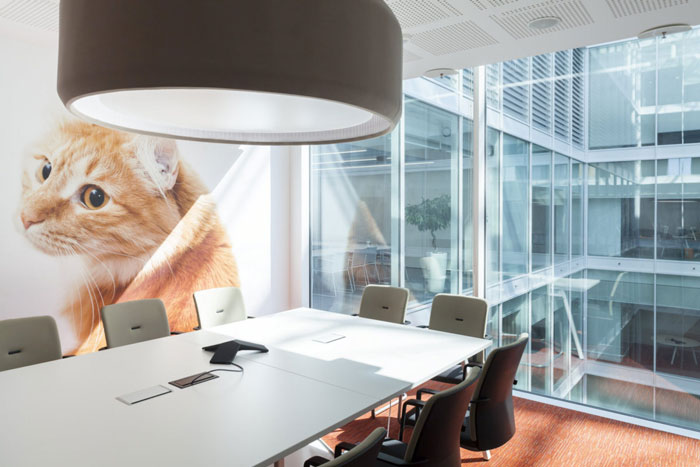 寵物食品公司辦公室會(huì)議室裝修設(shè)計(jì)效果圖