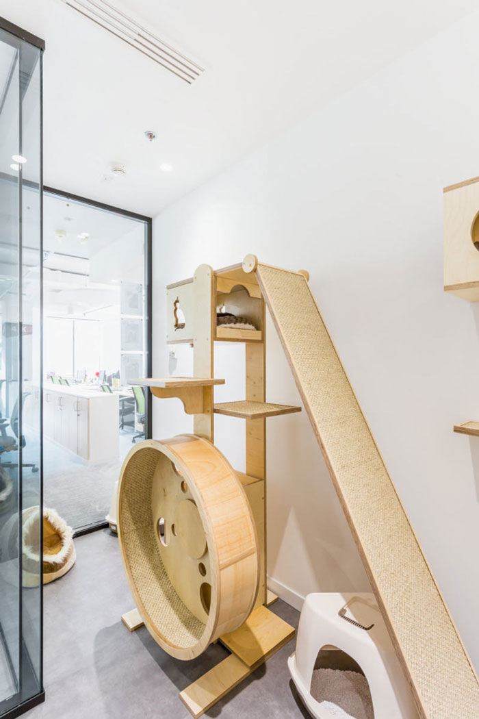 寵物食品公司辦公室寵物區(qū)裝修設(shè)計(jì)效果圖