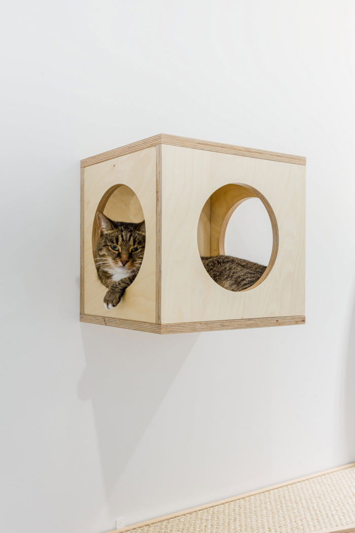 寵物食品公司辦公室寵物區(qū)裝修設(shè)計(jì)效果圖