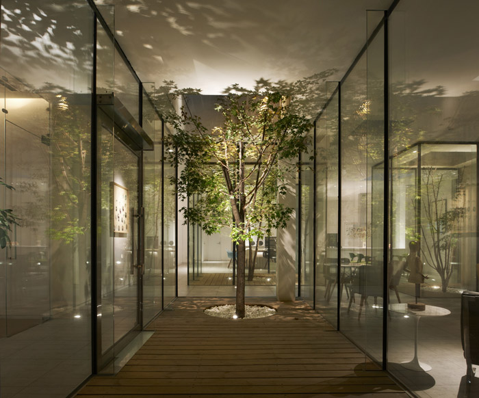 別墅辦公室綠植裝修設(shè)計效果圖