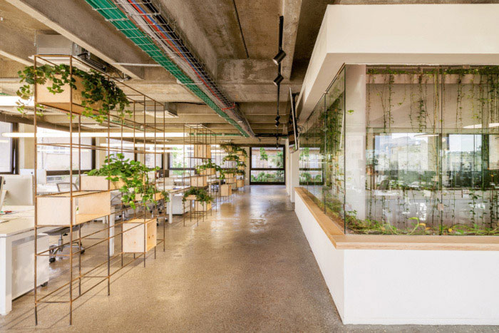 綠色辦公室走廊設(shè)計效果圖