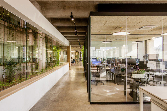 綠色辦公室走廊設(shè)計效果圖